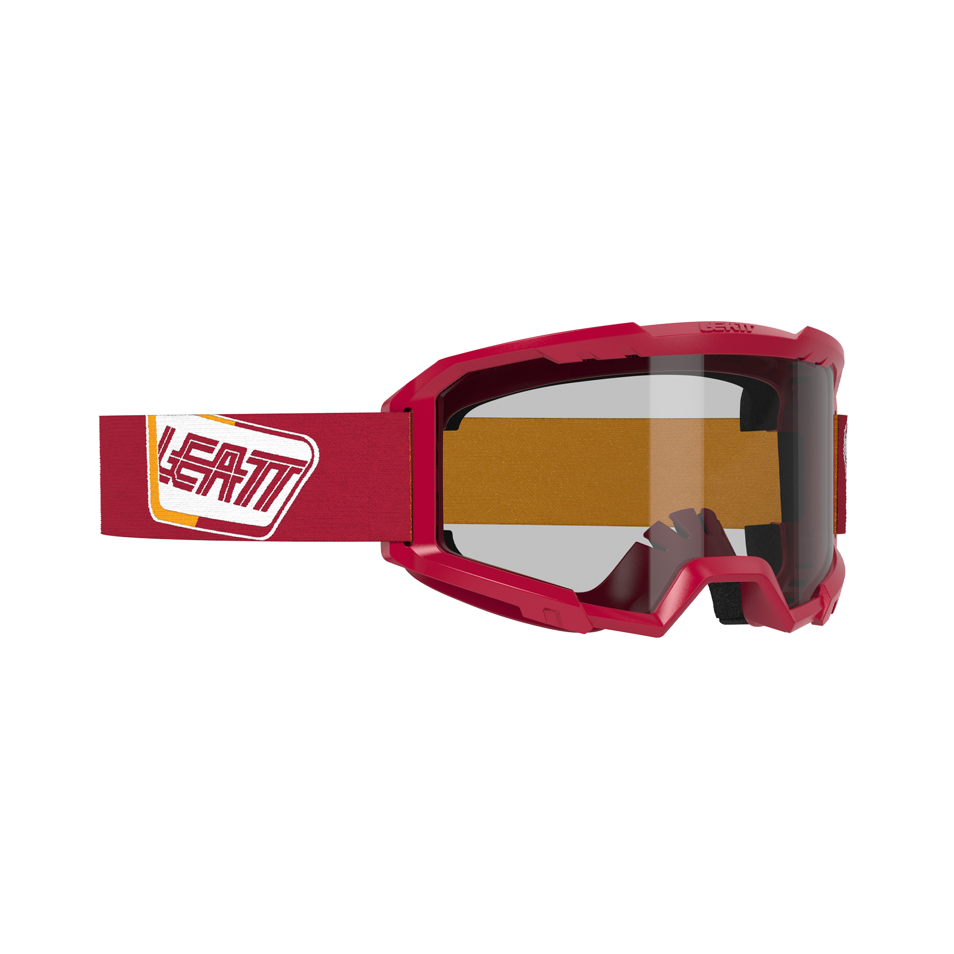 Goggle Vizion 2.5