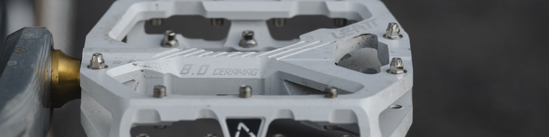 PEDALS